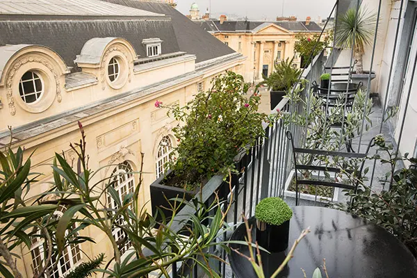 Photo of a balcony garden over the city