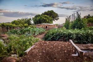 Kalabash Garden at Angama Lodge in Maasai Mara. Photographer Georgina Goodwin.