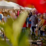 Flower market