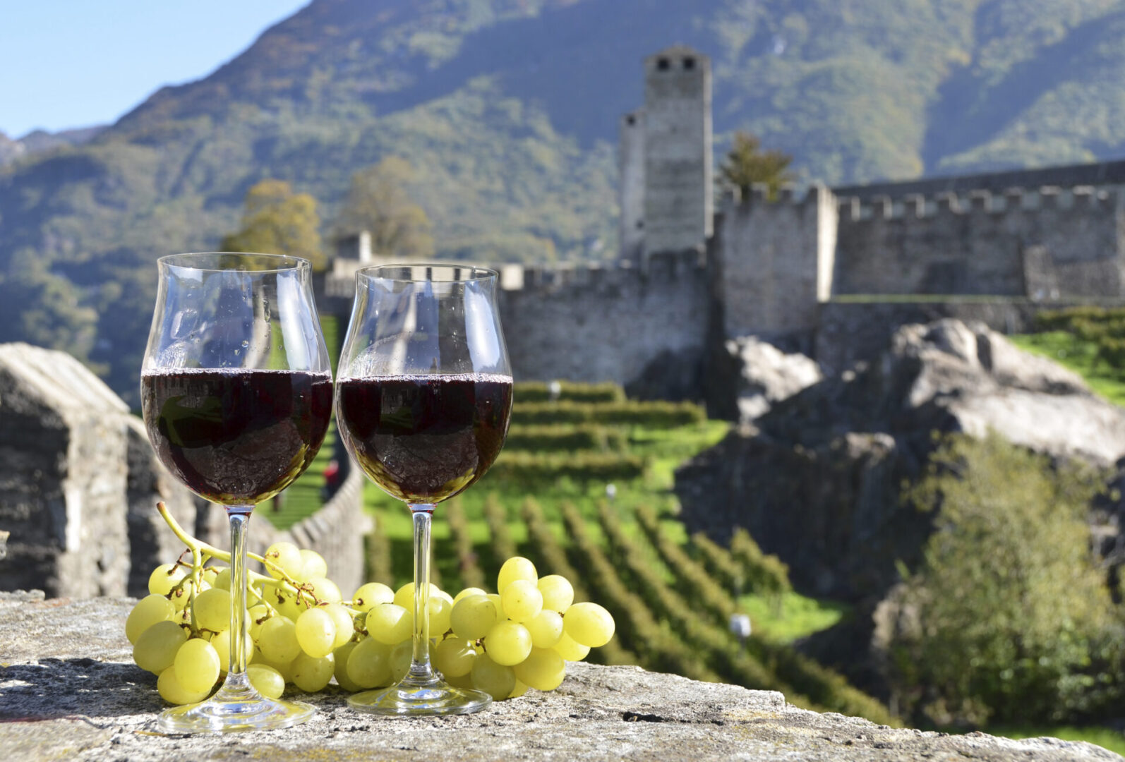 Pair of wineglasses and grapes. Bellinzona, Switzerland