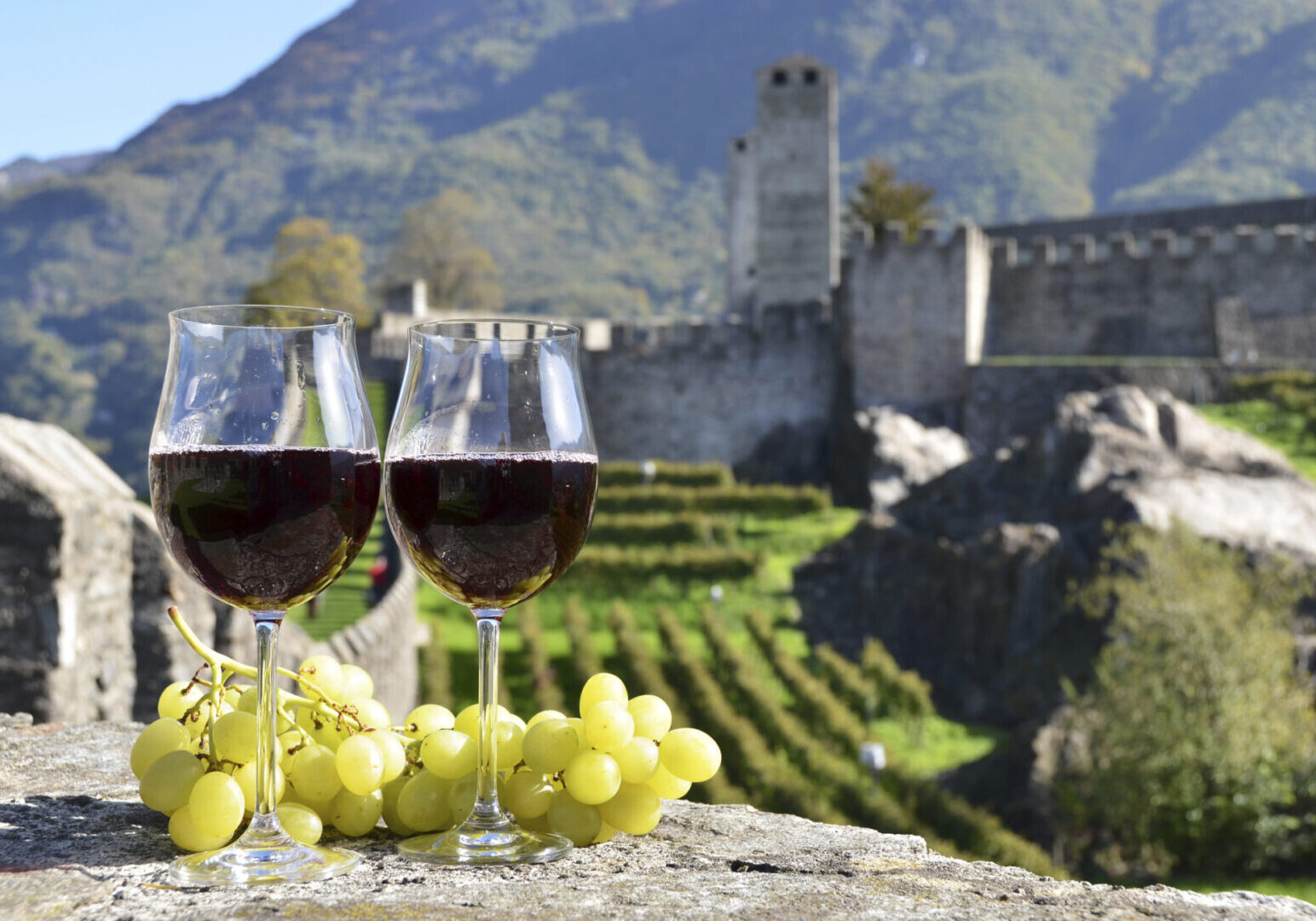 Pair of wineglasses and grapes. Bellinzona, Switzerland